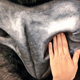 Illustration for article titled Tokyos Giant Cat Billboard Is Big Enough to Pet